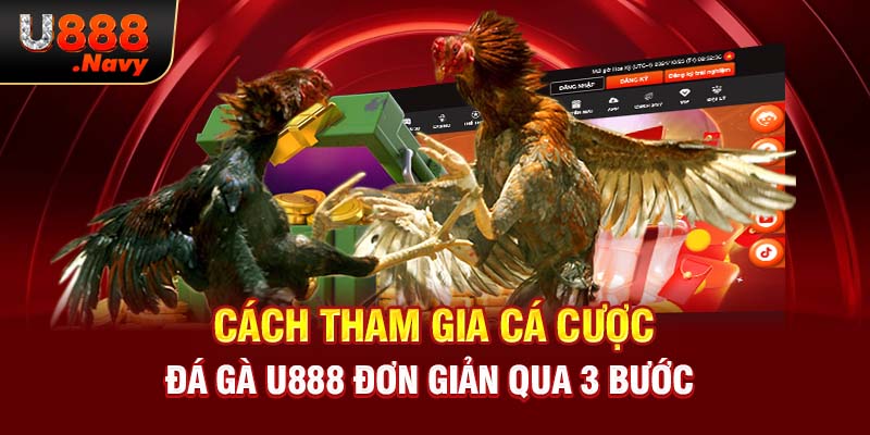 Cách tham gia cá cược đá gà U888 đơn giản qua 3 bước