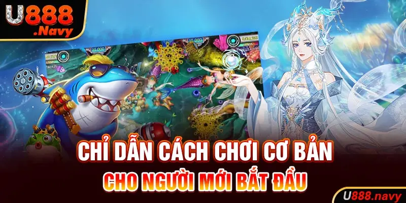 Chỉ dẫn cách chơi cơ bản cho người mới bắt đầu