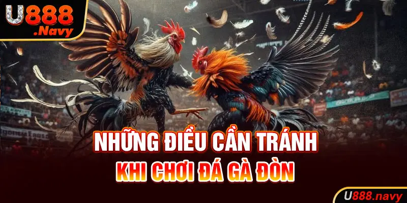 Những điều cần tránh khi chơi đá gà đòn