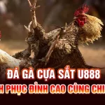 Đá Gà Cựa Sắt U888