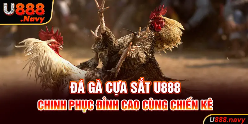 Đá Gà Cựa Sắt U888