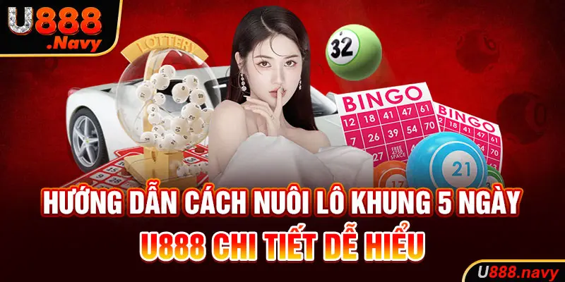 Hướng Dẫn Cách Nuôi Lô Khung 5 Ngày U888 Chi Tiết Dễ Hiểu