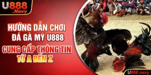 Hướng Dẫn Chơi Đá Gà Mỹ U888 | Cung Cấp Thông Tin Từ A Đến Z