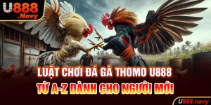 Luật Chơi Đá Gà Thomo U888 Từ A-Z Dành Cho Người Mới