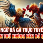 Thuật Ngữ Đá Gà Trực Tuyến U888 | Tân Thủ Không Nên Bỏ Qua