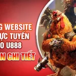 Top trang website đá gà trực tuyến 